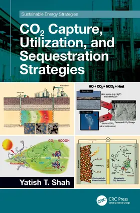 Shah |  CO2 Capture, Utilization, and Sequestration Strategies | Buch |  Sack Fachmedien