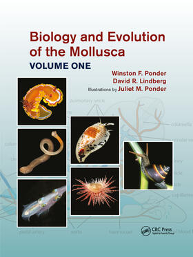 Lindberg / Ponder |  Biology and Evolution of the Mollusca, Volume 1 | Buch |  Sack Fachmedien