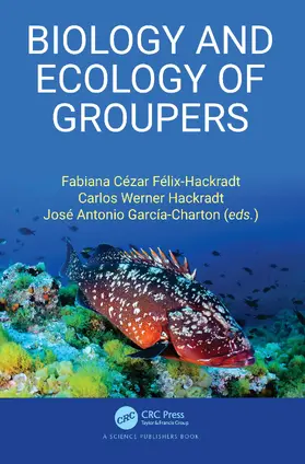 Hackradt / Félix-Hackradt / Felix-Hackradt |  Biology and Ecology of Groupers | Buch |  Sack Fachmedien