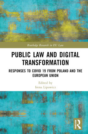 Lipowicz / Szpor / Syrt |  Instruments of Public Law | Buch |  Sack Fachmedien