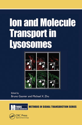 Gasnier / Zhu |  Ion and Molecule Transport in Lysosomes | Buch |  Sack Fachmedien