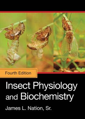 Nation / Nation, Sr. |  Insect Physiology and Biochemistry | Buch |  Sack Fachmedien