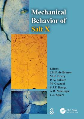 de Bresser / Drury / Fokker |  The Mechanical Behavior of Salt X | Buch |  Sack Fachmedien