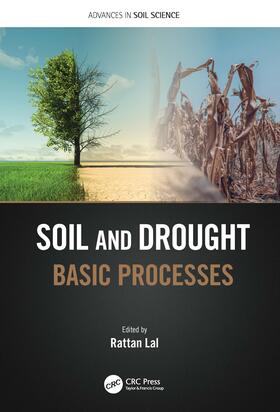 Lal |  Soil and Drought | Buch |  Sack Fachmedien