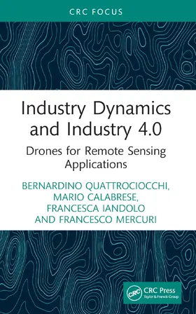 Quattrociocchi / Calabrese / Iandolo |  Industry Dynamics and Industry 4.0 | Buch |  Sack Fachmedien