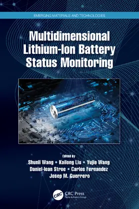 Wang / Liu / Stroe |  Multidimensional Lithium-Ion Battery Status Monitoring | Buch |  Sack Fachmedien