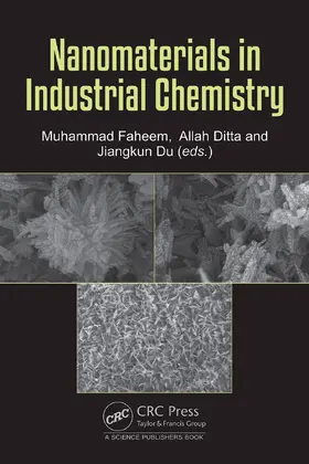 Ditta / Faheem / Du |  Nanomaterials in Industrial Chemistry | Buch |  Sack Fachmedien