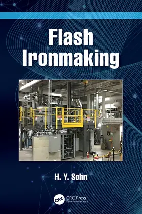 Sohn |  Flash Ironmaking | Buch |  Sack Fachmedien