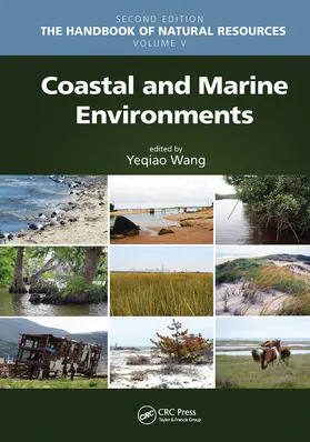 Wang |  Coastal and Marine Environments | Buch |  Sack Fachmedien