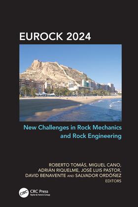 Riquelme / Tomás / Benavente |  New Challenges in Rock Mechanics and Rock Engineering | Buch |  Sack Fachmedien