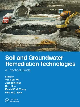 Tsang / Ok / Hou |  Soil and Groundwater Remediation Technologies | Buch |  Sack Fachmedien