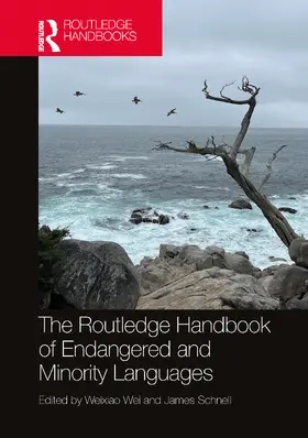 Schnell / Wei |  The Routledge Handbook of Endangered and Minority Languages | Buch |  Sack Fachmedien