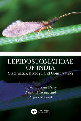 Majeed / Parey / Hussain |  Lepidostomatidae of India | Buch |  Sack Fachmedien