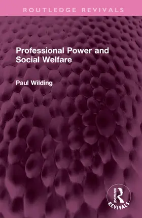 Wilding |  Professional Power and Social Welfare | Buch |  Sack Fachmedien