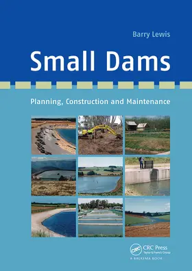 Lewis |  Small Dams | Buch |  Sack Fachmedien