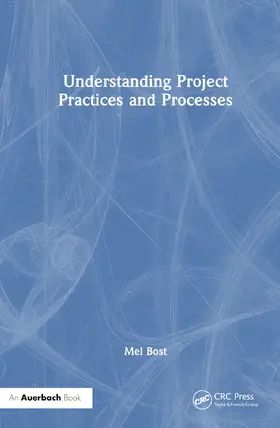 Bost |  Understanding Project Practices and Processes | Buch |  Sack Fachmedien