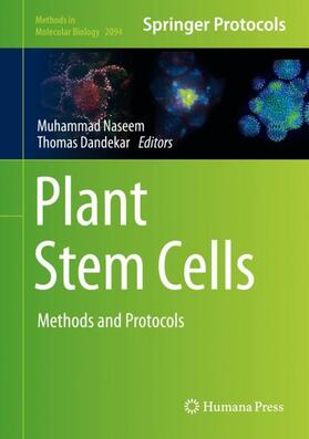 Dandekar / Naseem |  Plant Stem Cells | Buch |  Sack Fachmedien
