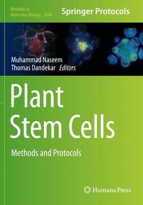 Dandekar / Naseem |  Plant Stem Cells | Buch |  Sack Fachmedien