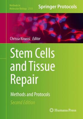 Kioussi |  Stem Cells and Tissue Repair | Buch |  Sack Fachmedien