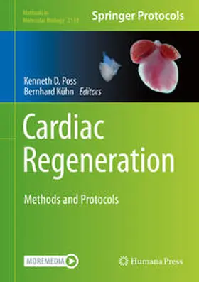 Poss / Kühn |  Cardiac Regeneration | eBook | Sack Fachmedien