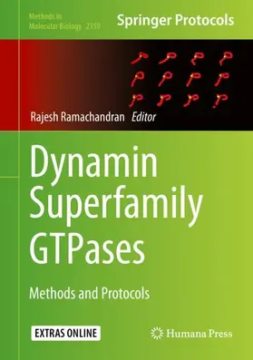 Ramachandran |  Dynamin Superfamily GTPases | Buch |  Sack Fachmedien