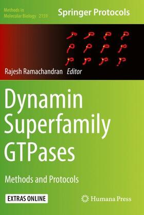 Ramachandran |  Dynamin Superfamily GTPases | Buch |  Sack Fachmedien