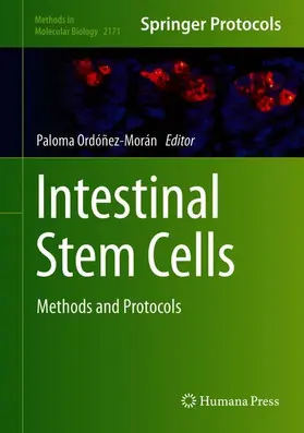 Ordóñez-Morán |  Intestinal Stem Cells | Buch |  Sack Fachmedien