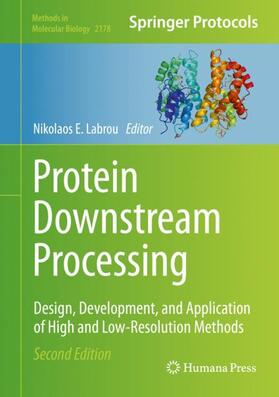 Labrou |  Protein Downstream Processing | Buch |  Sack Fachmedien