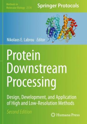 Labrou |  Protein Downstream Processing | Buch |  Sack Fachmedien