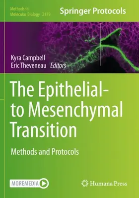 Theveneau / Campbell |  The Epithelial-to Mesenchymal Transition | Buch |  Sack Fachmedien