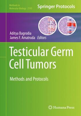 Amatruda / Bagrodia |  Testicular Germ Cell Tumors | Buch |  Sack Fachmedien