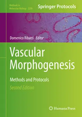 Ribatti |  Vascular Morphogenesis | eBook | Sack Fachmedien