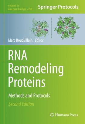 Boudvillain |  RNA Remodeling Proteins | Buch |  Sack Fachmedien