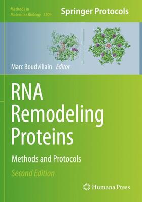 Boudvillain |  RNA Remodeling Proteins | Buch |  Sack Fachmedien