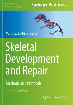 Hilton |  Skeletal Development and Repair | Buch |  Sack Fachmedien