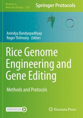 Thilmony / Bandyopadhyay |  Rice Genome Engineering and Gene Editing | Buch |  Sack Fachmedien