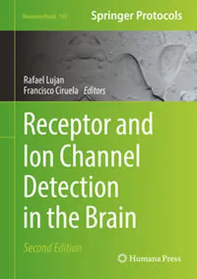 Lujan / Ciruela |  Receptor and Ion Channel Detection in the Brain | eBook | Sack Fachmedien