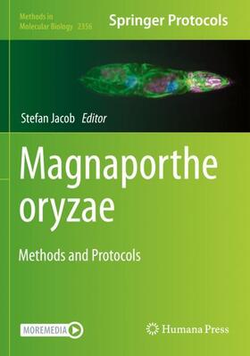 Jacob | Magnaporthe oryzae | Buch | 978-1-0716-1615-4 | sack.de