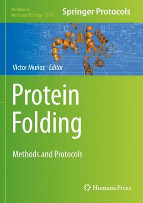 Muñoz |  Protein Folding | Buch |  Sack Fachmedien