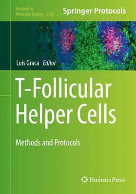 Graca |  T-Follicular Helper Cells | Buch |  Sack Fachmedien