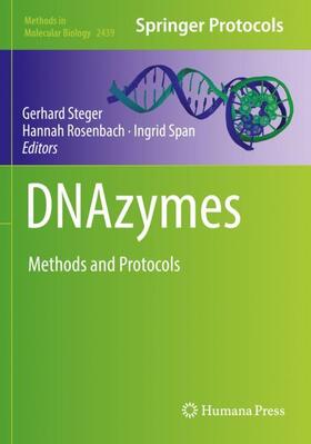 Steger / Span / Rosenbach |  DNAzymes | Buch |  Sack Fachmedien