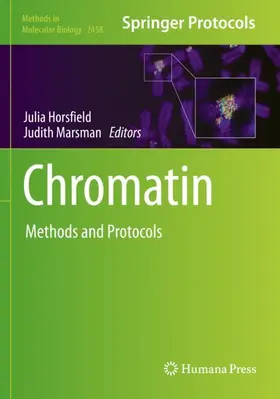 Marsman / Horsfield | Chromatin | Buch | 978-1-0716-2142-4 | sack.de