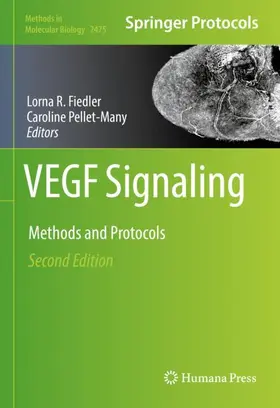 Pellet-Many / Fiedler |  VEGF Signaling | Buch |  Sack Fachmedien