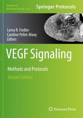 Pellet-Many / Fiedler |  VEGF Signaling | Buch |  Sack Fachmedien