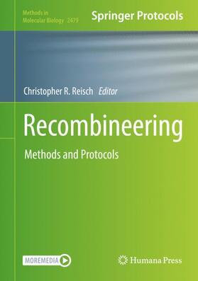 Reisch |  Recombineering | Buch |  Sack Fachmedien
