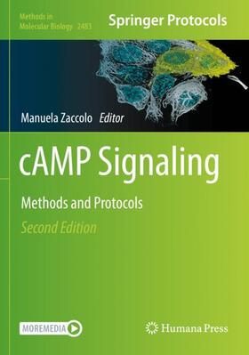 Zaccolo |  cAMP Signaling | Buch |  Sack Fachmedien