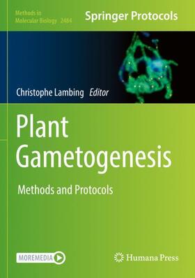 Lambing |  Plant Gametogenesis | Buch |  Sack Fachmedien