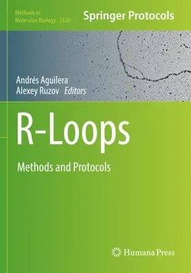 Ruzov / Aguilera |  R-Loops | Buch |  Sack Fachmedien