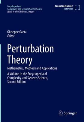 Gaeta |  Perturbation Theory | Buch |  Sack Fachmedien