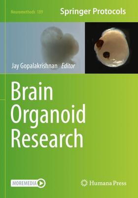 Gopalakrishnan |  Brain Organoid Research | Buch |  Sack Fachmedien